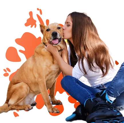 Site para Pet shops e clínicas veterinárias